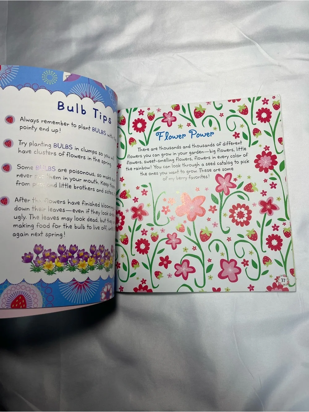 Strawberry Shortcake’s Berry Best Gardening Book‎ Megan E Bryant PB 2004 VTG